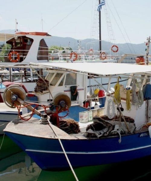 SIMI RESTAURANT THASSOS